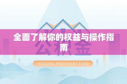 沙洋全面了解你的权益与操作指南