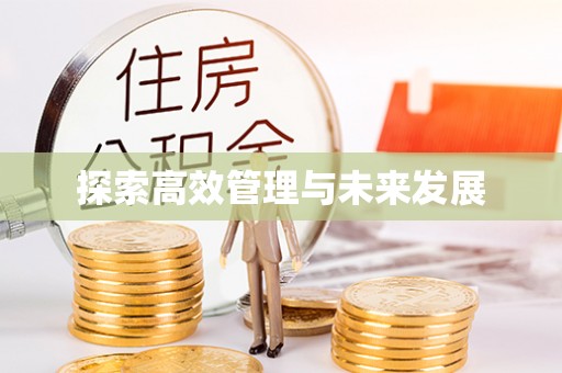 沙洋探索高效管理与未来发展