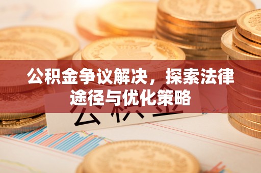 沙洋公积金争议解决，探索法律途径与优化策略