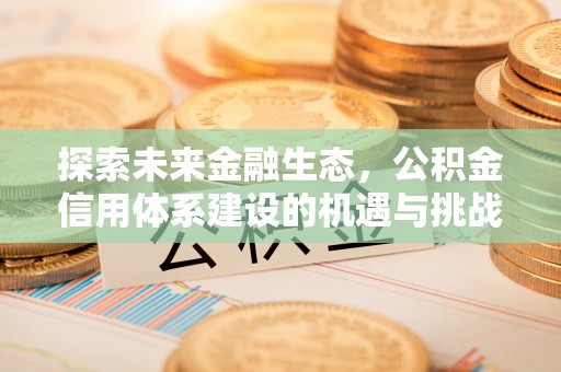 沙洋探索未来金融生态，公积金信用体系建设的机遇与挑战
