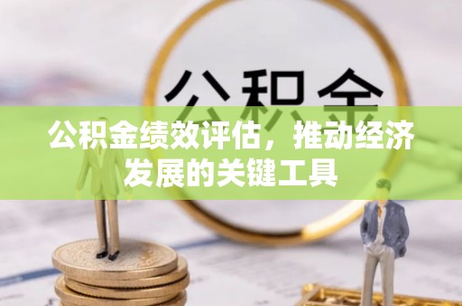 沙洋公积金绩效评估，推动经济发展的关键工具