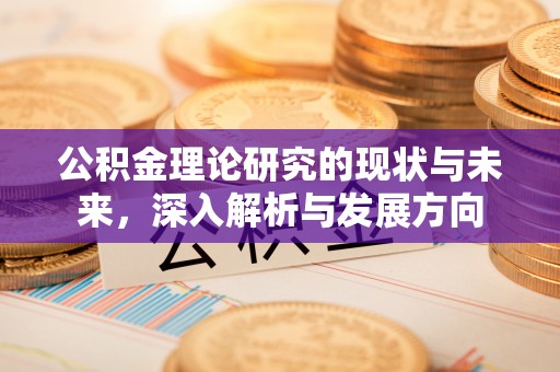 沙洋公积金理论研究的现状与未来，深入解析与发展方向