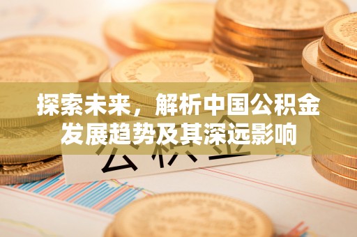 沙洋探索未来，解析中国公积金发展趋势及其深远影响