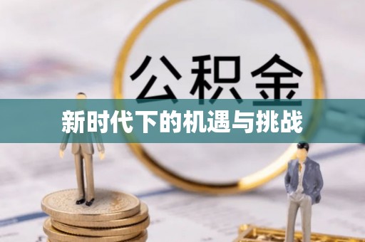 沙洋新时代下的机遇与挑战