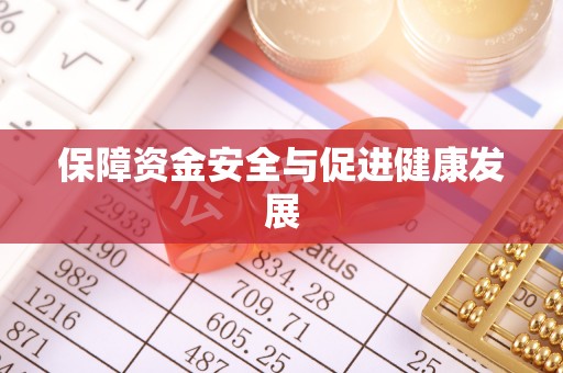 沙洋保障资金安全与促进健康发展