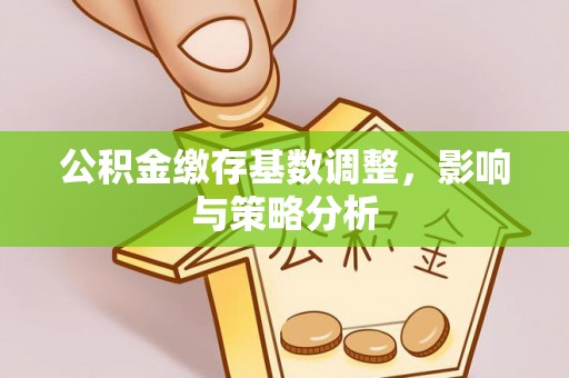 沙洋公积金缴存基数调整，影响与策略分析