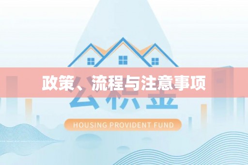 沙洋政策、流程与注意事项