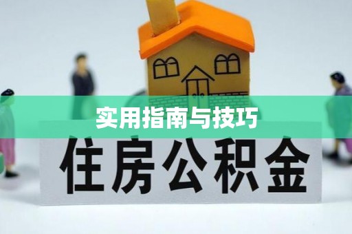 沙洋实用指南与技巧