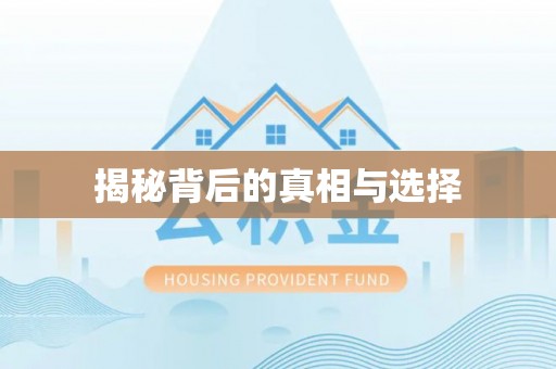 沙洋揭秘背后的真相与选择