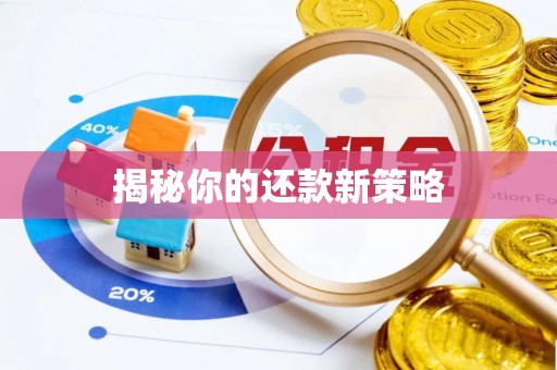 沙洋揭秘你的还款新策略