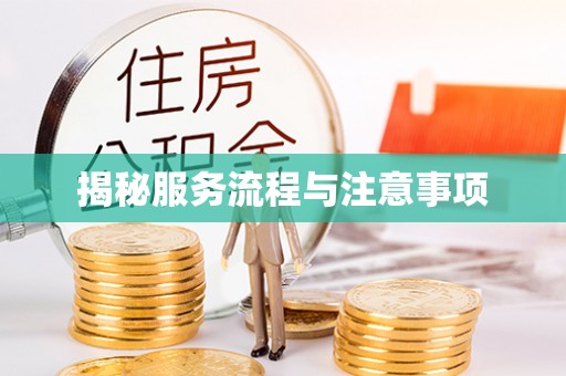 沙洋揭秘服务流程与注意事项