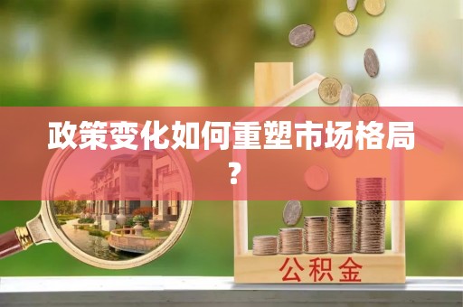沙洋政策变化如何重塑市场格局？