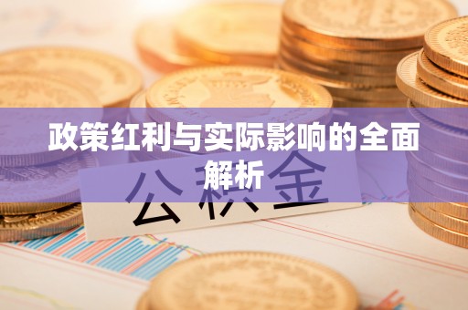 沙洋政策红利与实际影响的全面解析