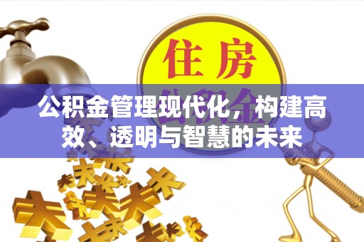 沙洋公积金管理现代化，构建高效、透明与智慧的未来