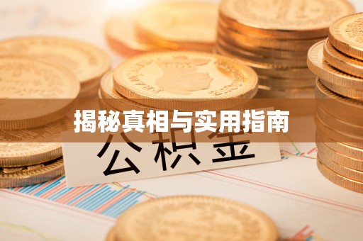 沙洋揭秘真相与实用指南