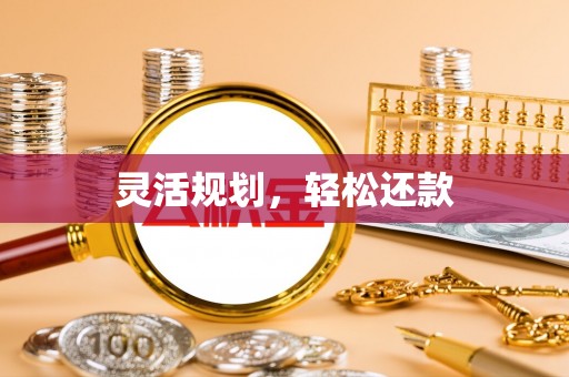沙洋灵活规划，轻松还款