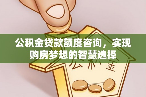 沙洋公积金贷款额度咨询，实现购房梦想的智慧选择
