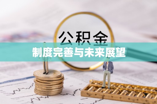 沙洋制度完善与未来展望