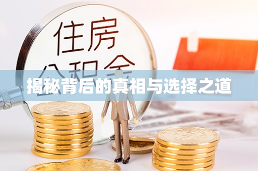 沙洋揭秘背后的真相与选择之道