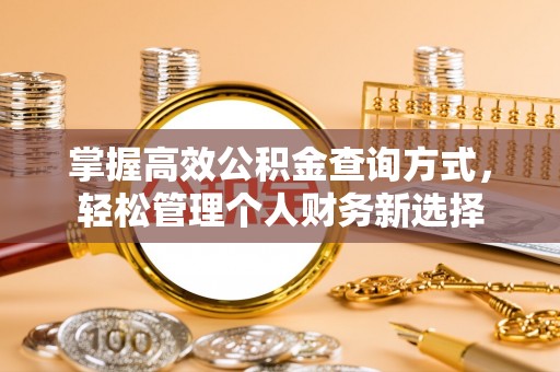 沙洋掌握高效公积金查询方式，轻松管理个人财务新选择