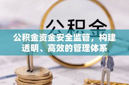 沙洋公积金资金安全监管，构建透明、高效的管理体系
