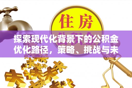 沙洋探索现代化背景下的公积金优化路径，策略、挑战与未来展望