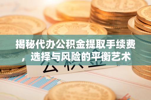 沙洋揭秘代办公积金提取手续费，选择与风险的平衡艺术