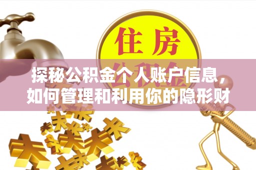 沙洋探秘公积金个人账户信息，如何管理和利用你的隐形财富