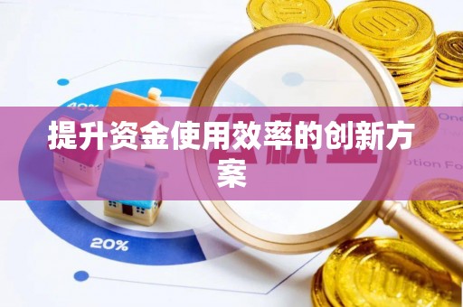 沙洋提升资金使用效率的创新方案