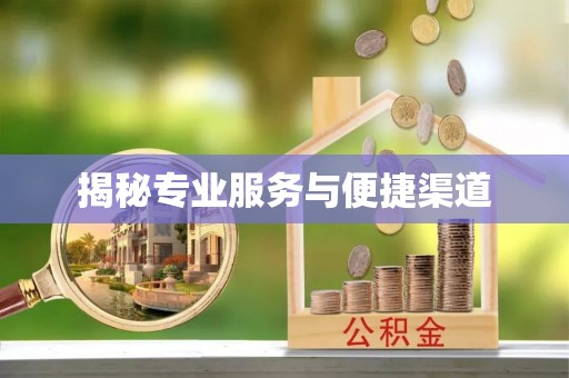 沙洋揭秘专业服务与便捷渠道