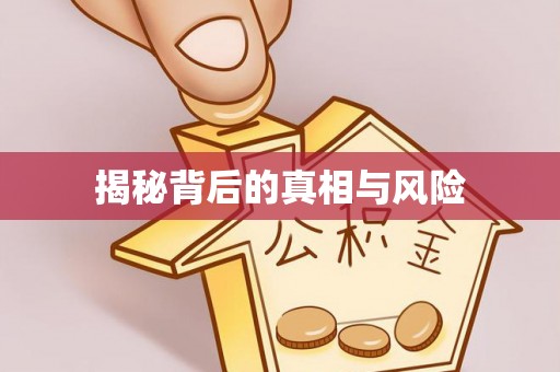 沙洋揭秘背后的真相与风险