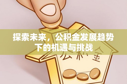 沙洋探索未来，公积金发展趋势下的机遇与挑战