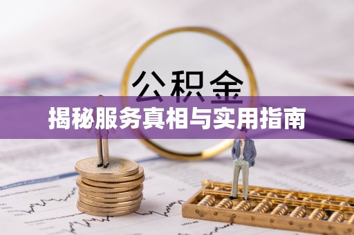 沙洋揭秘服务真相与实用指南