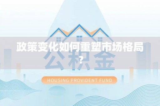 沙洋政策变化如何重塑市场格局？