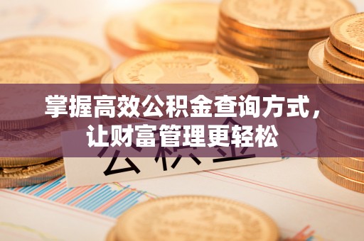 沙洋掌握高效公积金查询方式，让财富管理更轻松
