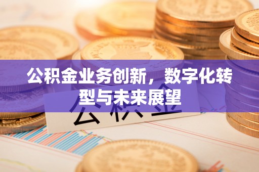 沙洋公积金业务创新，数字化转型与未来展望