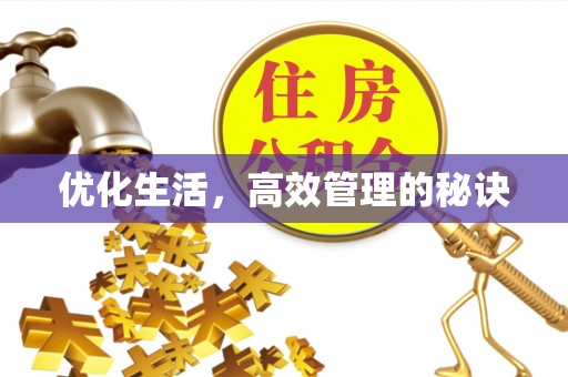 沙洋优化生活，高效管理的秘诀