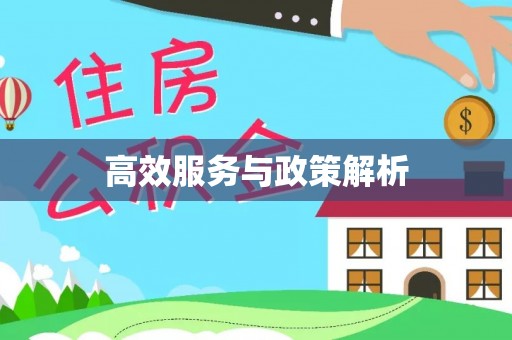 沙洋高效服务与政策解析