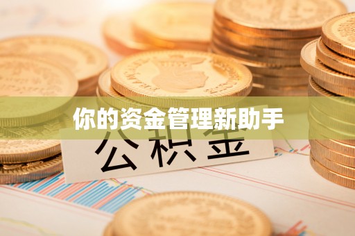 沙洋你的资金管理新助手