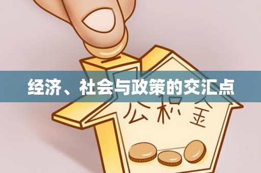 沙洋经济、社会与政策的交汇点