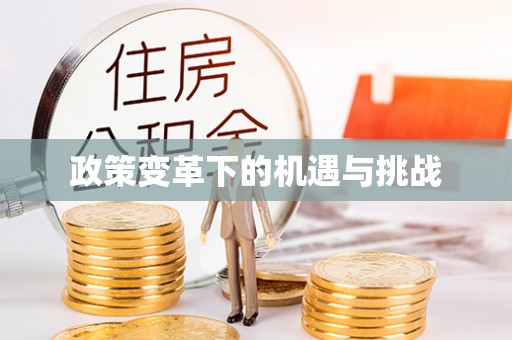 沙洋政策变革下的机遇与挑战