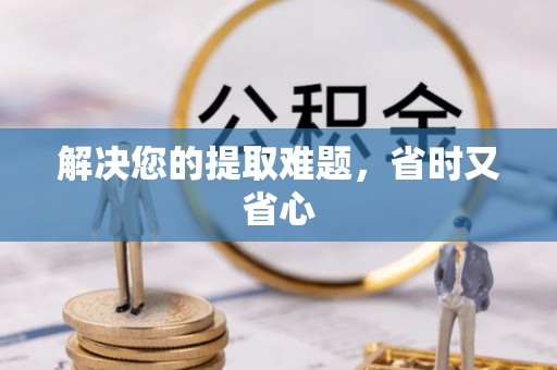 沙洋解决您的提取难题，省时又省心