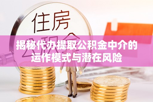 沙洋揭秘代办提取公积金中介的运作模式与潜在风险