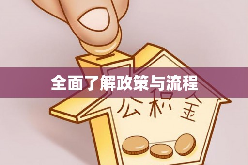 沙洋全面了解政策与流程