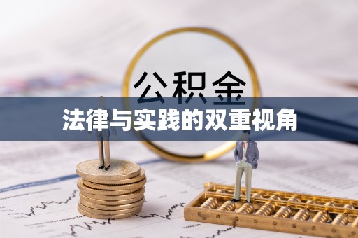 沙洋法律与实践的双重视角