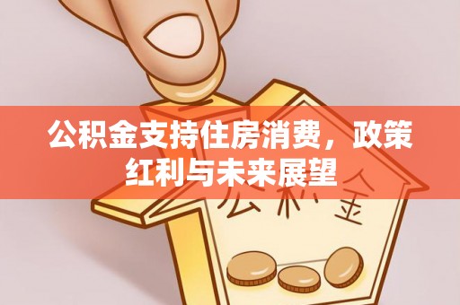 沙洋公积金支持住房消费，政策红利与未来展望