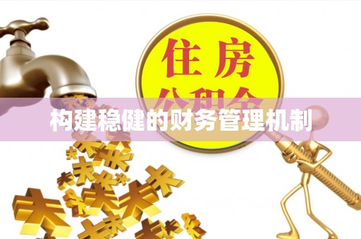 沙洋构建稳健的财务管理机制