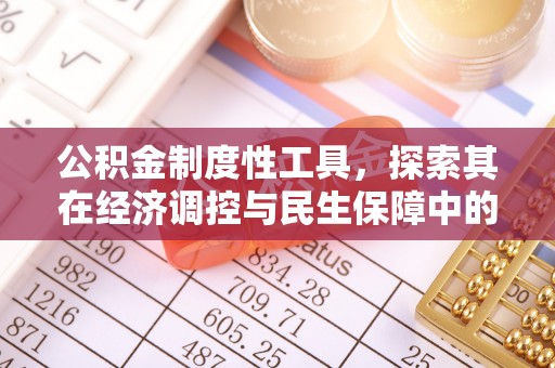 沙洋公积金制度性工具，探索其在经济调控与民生保障中的重要作用