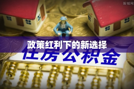 沙洋政策红利下的新选择