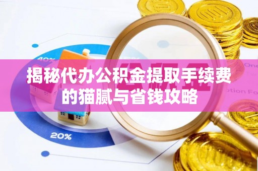 沙洋揭秘代办公积金提取手续费的猫腻与省钱攻略
